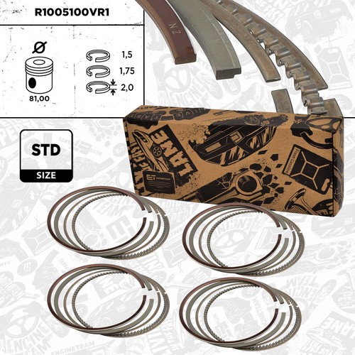 Kolbenringe satz r1005100 - 4x,