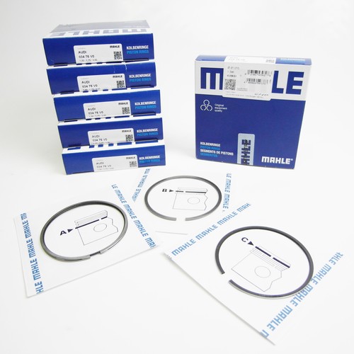 Mahle racing beschichte - racing,